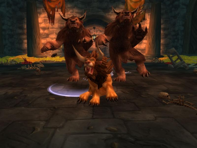 Druiden haben auch Spa. XD