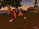Elinr in 'Grand Theft Palomino' :)