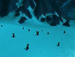 Ich und vieeele vieeele Pinguine xD