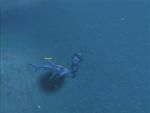 WoWScrnShot 060908 112640