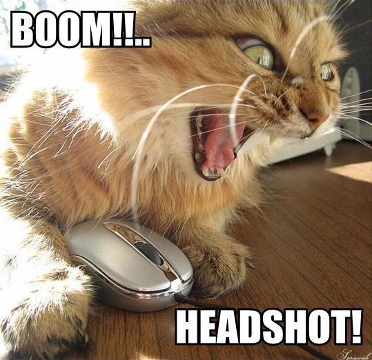 boom headshot