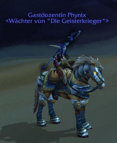 Schneller Palomino