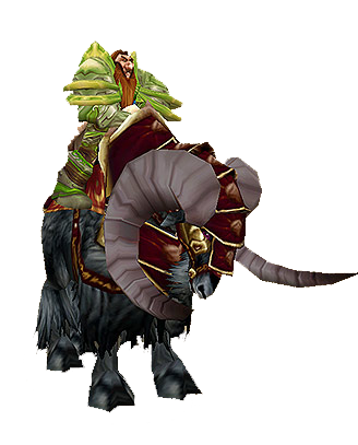 ram Kopie