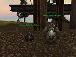 Meine zwei lieblings Npcs in Fjord:)
