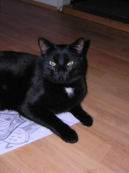 Mein Giovanni ^^