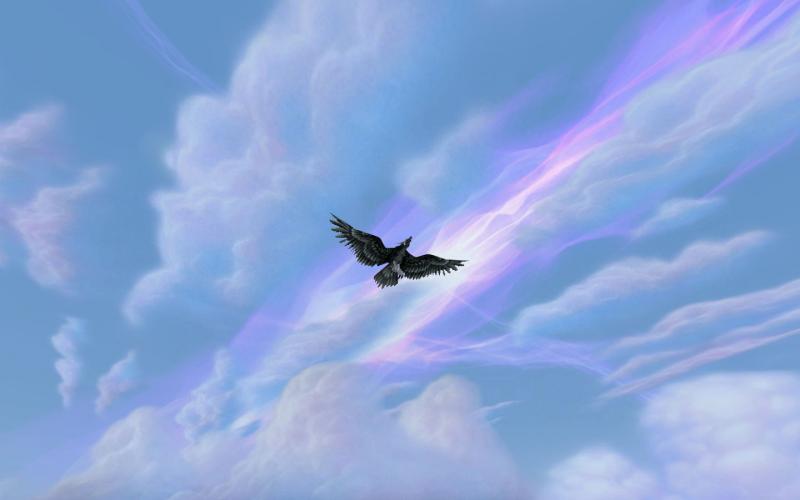aus der "vogelperspektive" ^^