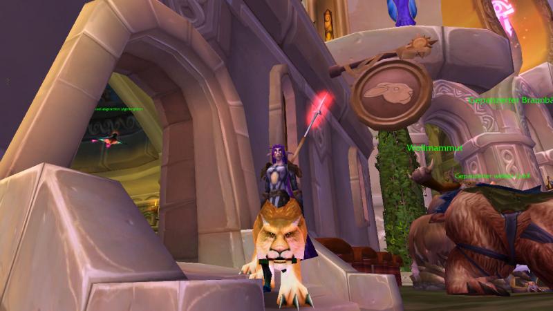 Mein bester im Stall,er begleitete mich von lvl 35-60