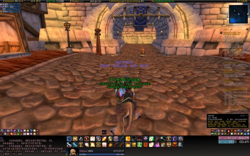 WoWScrnShot 032810 193944