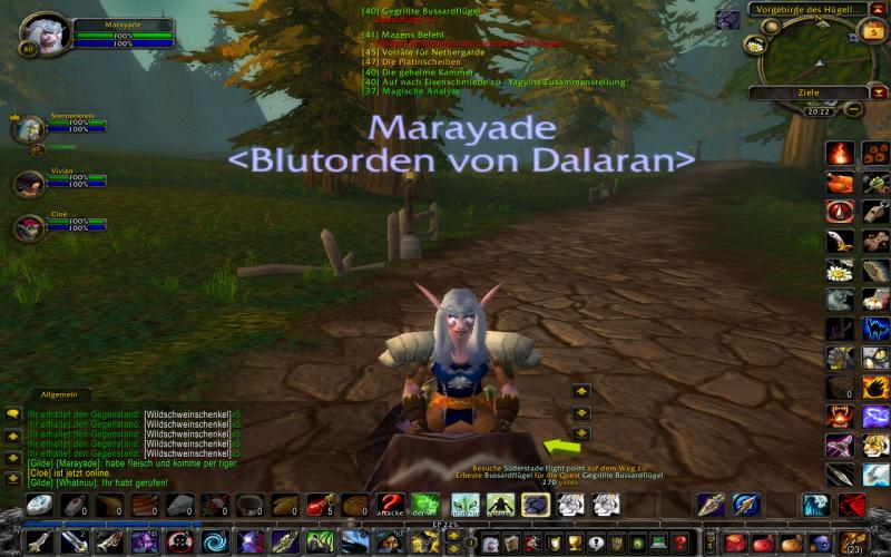 WoWScrnShot 070509 202311

endlich auf dem tiger!!!