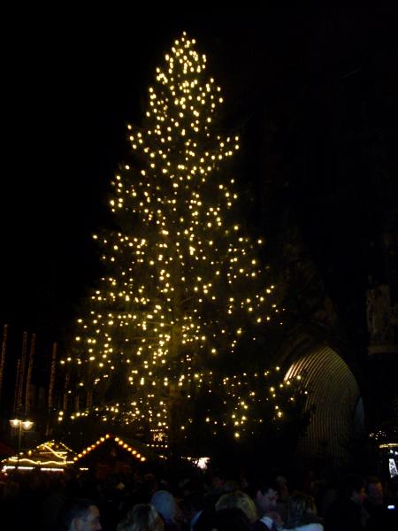 weihnachtsmarkt hannover 29,11,08 010
