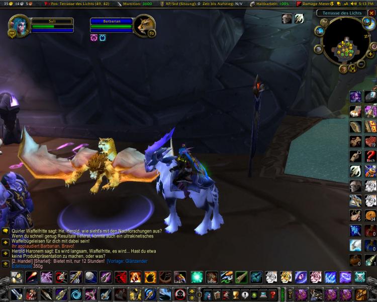 komischer Bug in Shattrat