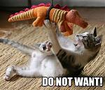 do not want