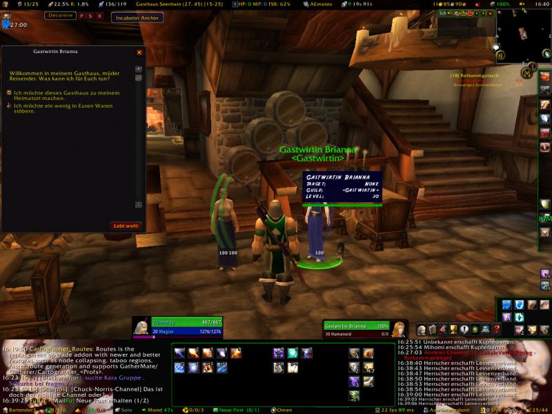 WoWScrnShot 070908 164052