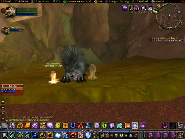 Zwei Wlfe und ein Leopard...xD