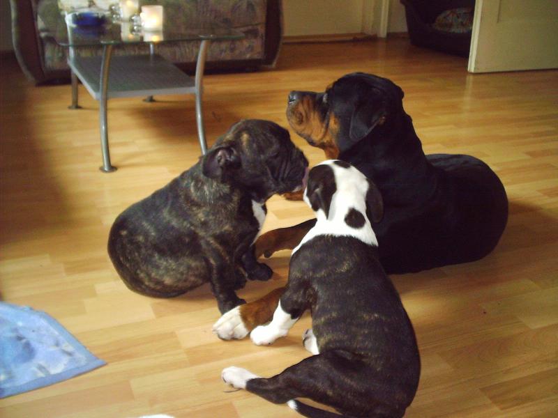 Spike,Thysen und Lisa