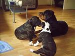 Spike,Thysen und Lisa