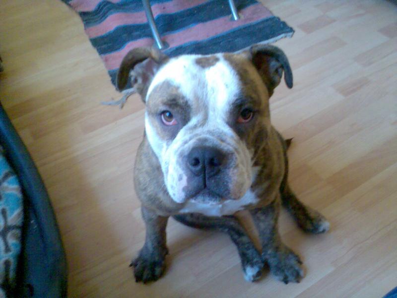 Lola Maus