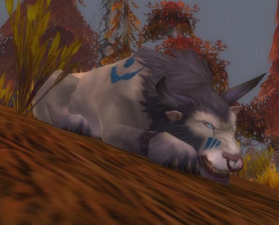 Feral x3.