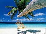 Dream Beach