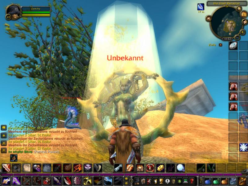 Zanchy beim Erforshen :)