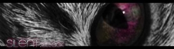 http://www.wow-forum.com/de/signaturepics/sigpic44623_1.gif